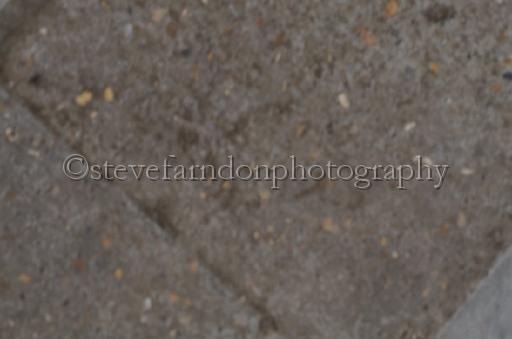 NRS_1437.JPG - (C)S.FARNDON