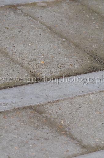 NRS_1447.JPG - (C)S.FARNDON