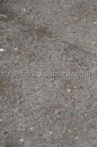 NRS_1469.JPG - (C)S.FARNDON
