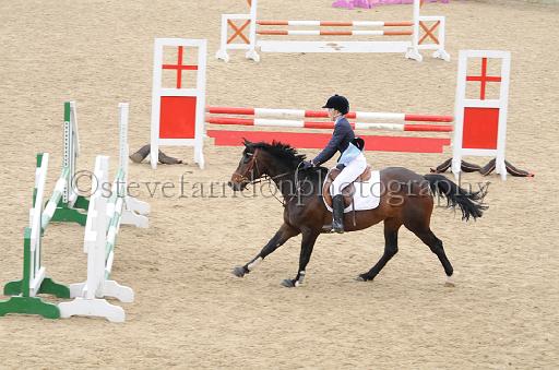 NRS_1506.JPG - (C)S.FARNDON