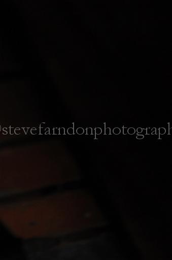NRS_1510.JPG - (C)S.FARNDON