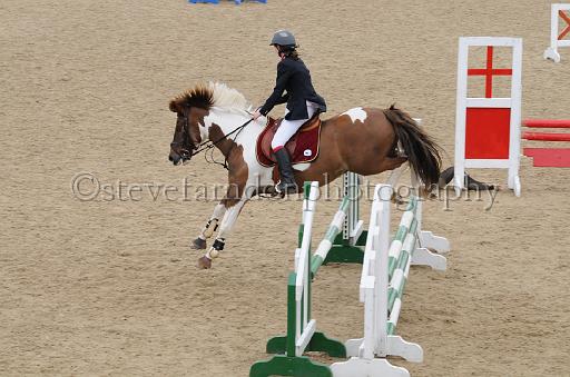 NRS_1532.JPG - (C)S.FARNDON