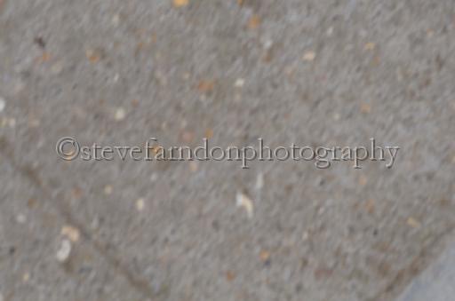 NRS_1533.JPG - (C)S.FARNDON
