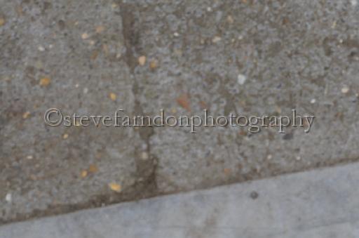 NRS_1554.JPG - (C)S.FARNDON