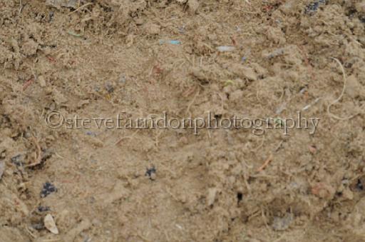 NRS_1575.JPG - (C)S.FARNDON