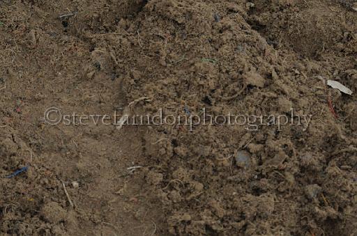 NRS_1596.JPG - (C)S.FARNDON