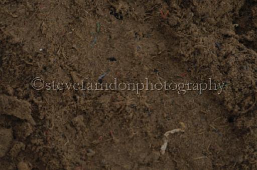 NRS_1623.JPG - (C)S.FARNDON