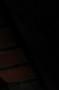 NRS_1510