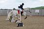 NRS_1594