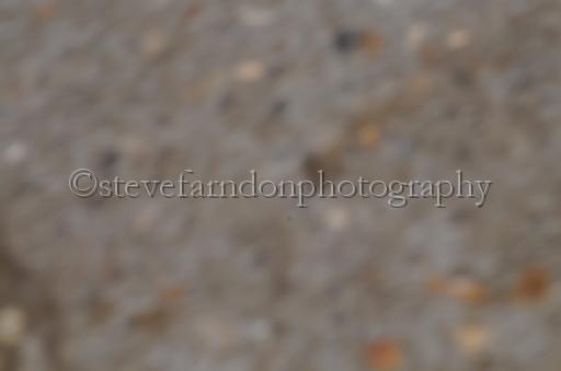 NRS_1712.JPG - (C)S.FARNDON