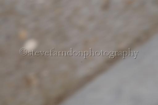 NRS_1713.JPG - (C)S.FARNDON