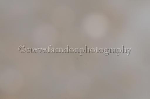 NRS_1731.JPG - (C)S.FARNDON