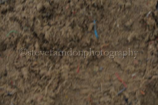 NRS_1749.JPG - (C)S.FARNDON