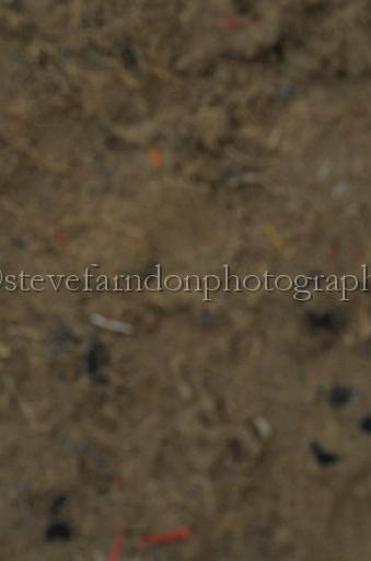 NRS_1844.JPG - (C)S.FARNDON