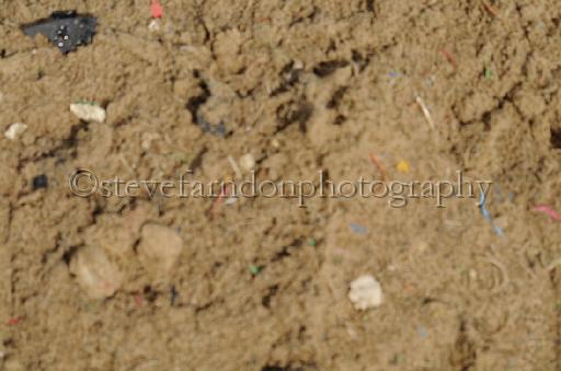 NRS_2088.JPG - (C)S.FARNDON