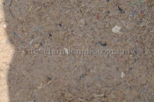 NRS_2109.JPG - (C)S.FARNDON