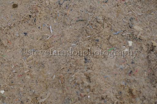 NRS_2158.JPG - (C)S.FARNDON