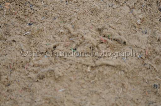 NRS_2185.JPG - (C)S.FARNDON