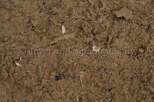 NRS_2282.JPG - (C)S.FARNDON