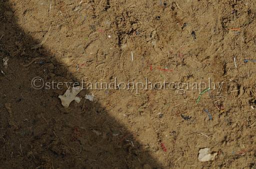 NRS_2393.JPG - (C)S.FARNDON