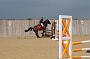 NRS_2010