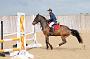 NRS_2013