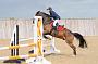 NRS_2014