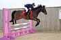 NRS_2031