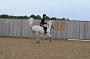 NRS_2186
