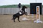 NRS_2229