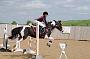 NRS_2347