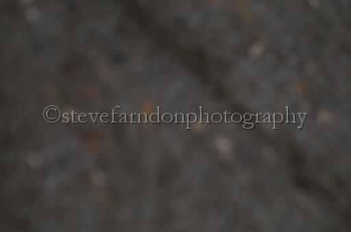 NRS_2433.JPG - (C)S.FARNDON