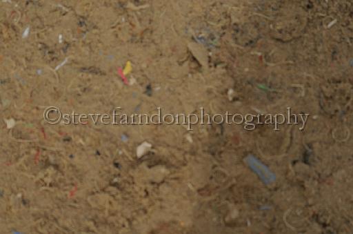 NRS_2466.JPG - (C)S.FARNDON