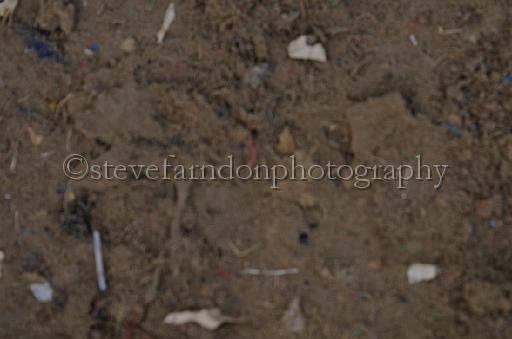 NRS_2522.JPG - (C)S.FARNDON