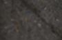 NRS_2433