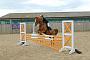 sat95class3_025