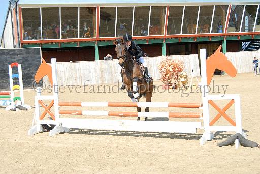 NTD_8642.JPG - (c)S_FARNDON