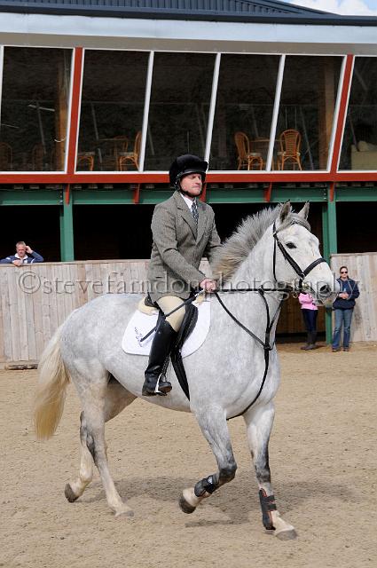 STT_2156.JPG - (C)S.FARNDON